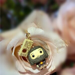 Hagrid and spell book earrings